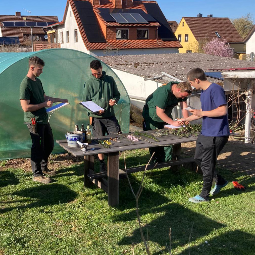 Mitarbeiter unterhalten sich draußen am Tisch über verschiedene Pflanzenarten.